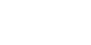 grupogodo-logo-white-300x150