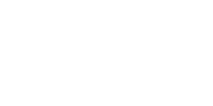 lexus-logo-white-300x150