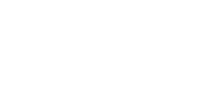 toyota-logo-white-300x150